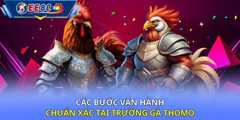 Các bước vận hành chuẩn xác tại trường gà Thomo