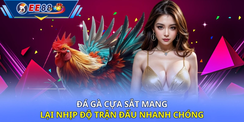 Đá gà cựa sắt mang lại nhịp độ trận đấu nhanh chóng