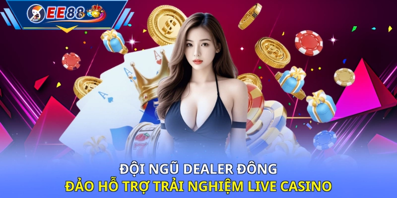 Đội ngũ dealer đông đảo hỗ trợ trải nghiệm Live Casino