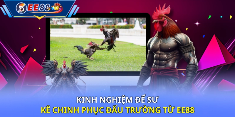 Kinh nghiệm để sư kê chinh phục đấu trường từ EE88